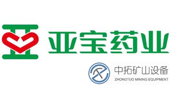 亚宝药业
